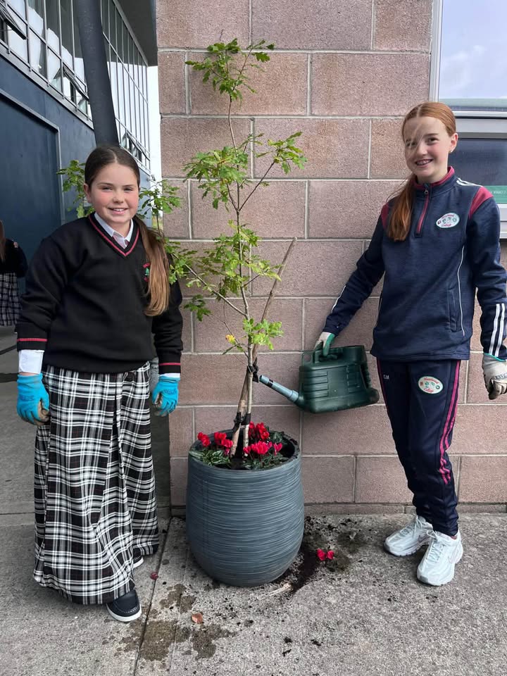 Hazelwood College Dromcollogher
