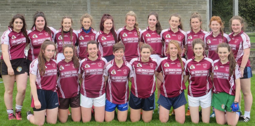 senior-camogie-16